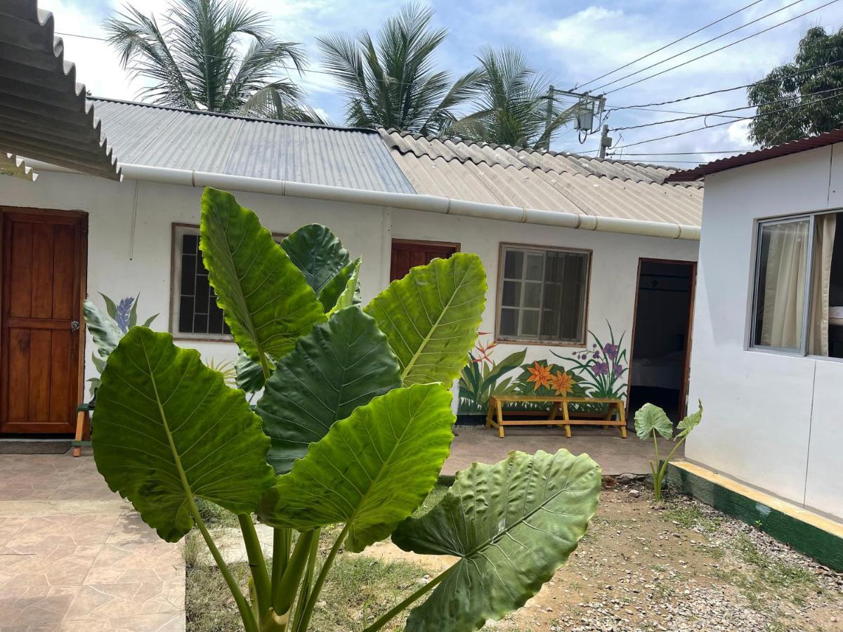 Palomino Hostel Dış mekan fotoğraf