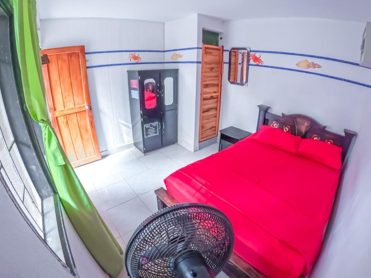 Palomino Hostel Dış mekan fotoğraf