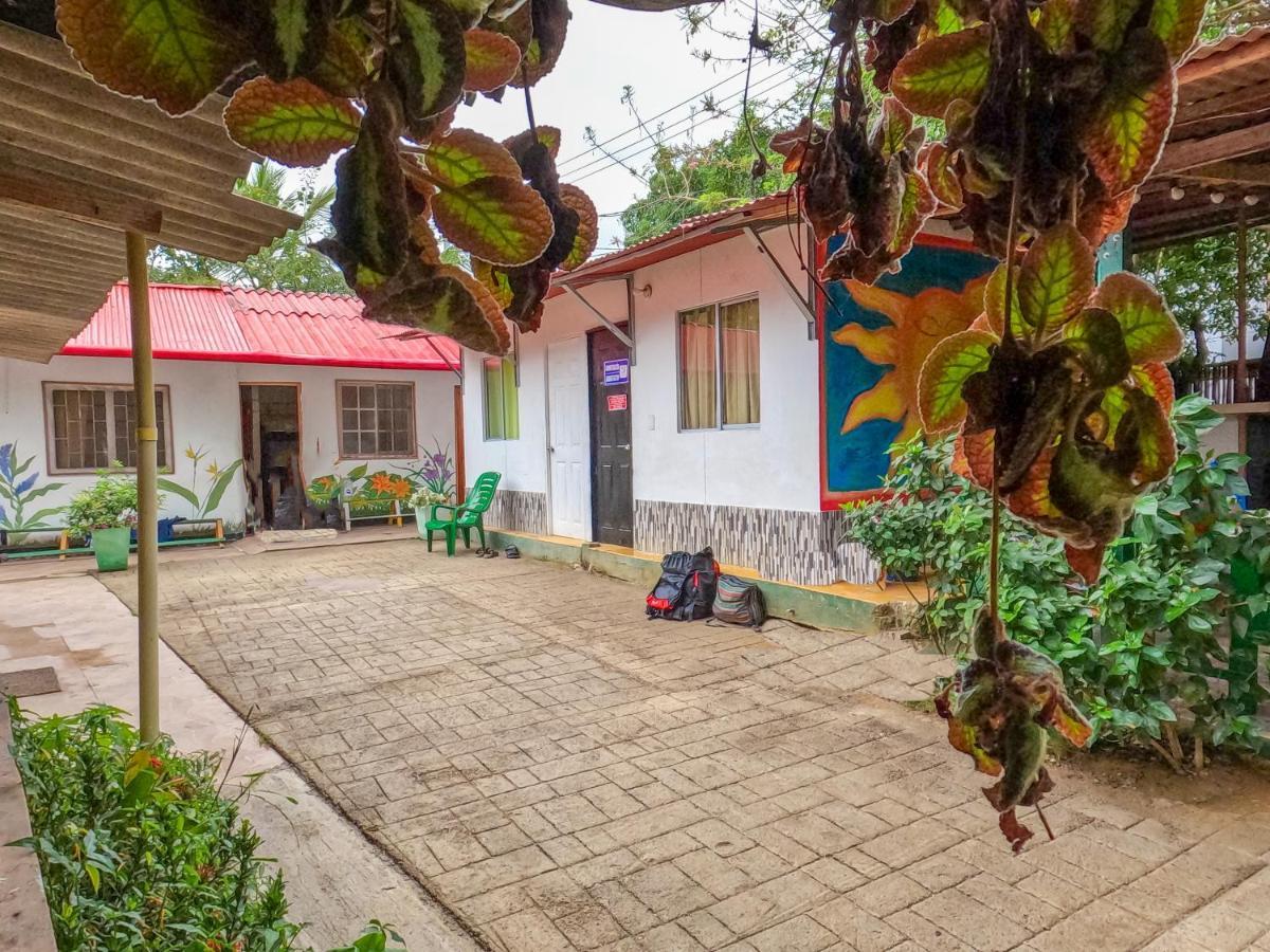 Palomino Hostel Dış mekan fotoğraf