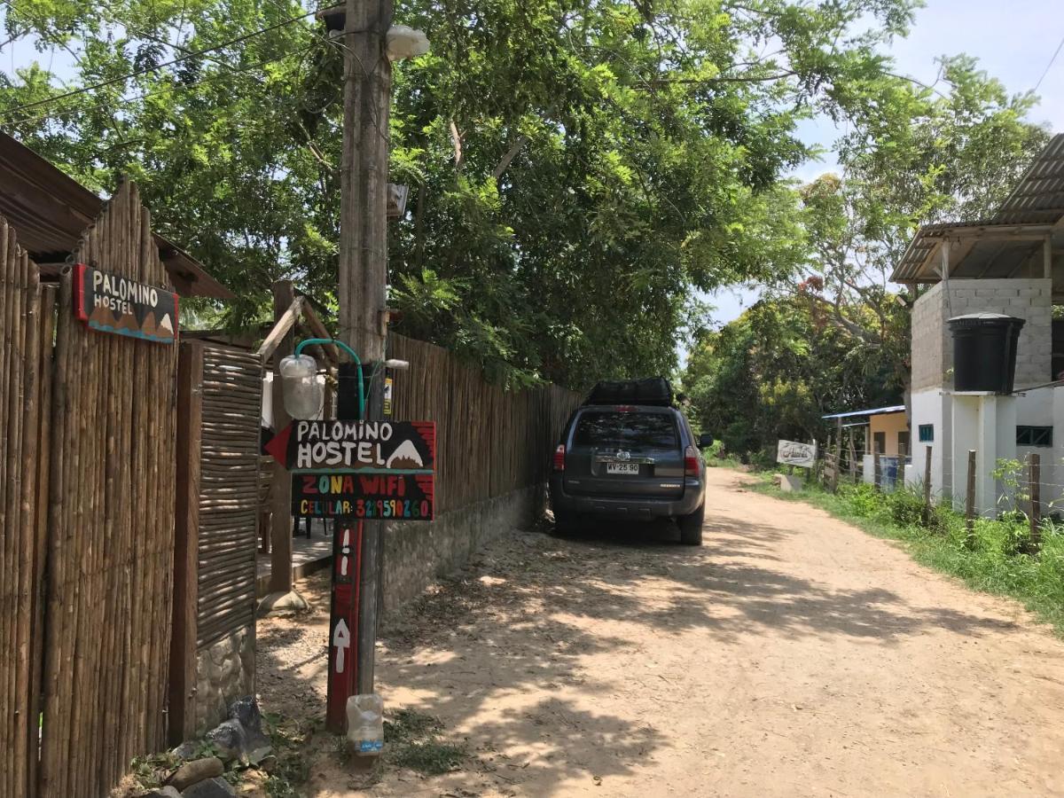 Palomino Hostel Dış mekan fotoğraf